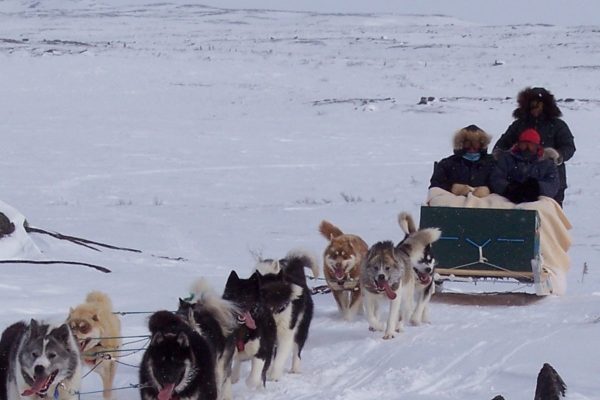 اتاوا غرامت کشتار جمعی سگ‌های سورتمه بومیان را می‌دهد