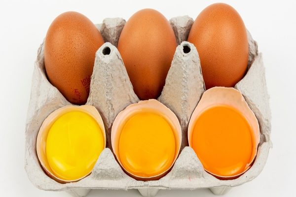 راز تغذیه مرغ‌ و تاثیر آن بر رنگ زرده تخم‌مرغ