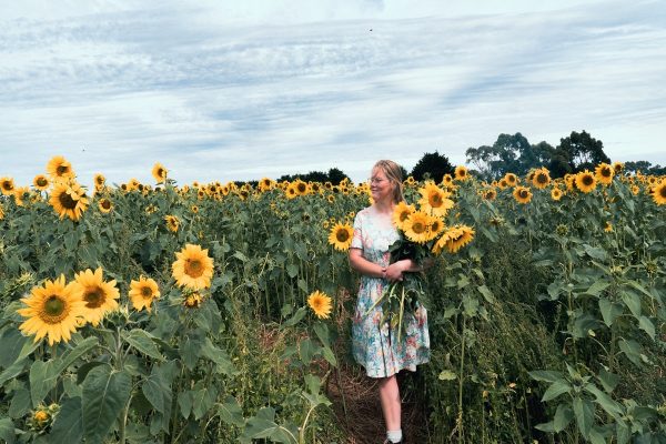 مزرعه گل آفتابگردان؛  اینستاگرامیترین لوکیشن مونترال مزرعه گل آفتابگردان؛ اینستاگرامیترین لوکیشن مونترال