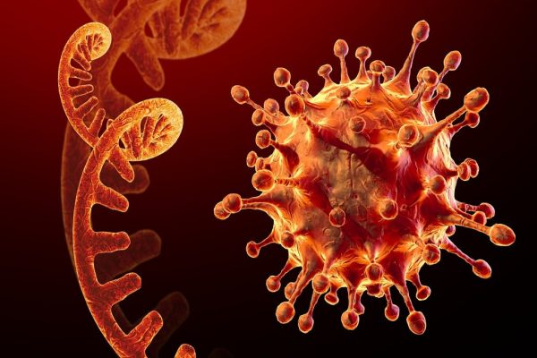 نگرانیهای جدید کووید-۱۹: «نیمبوس» و «استراتوس» از راه رسیدند! نگرانیهای جدید کووید-۱۹: «نیمبوس» و «استراتوس» از راه رسیدند!