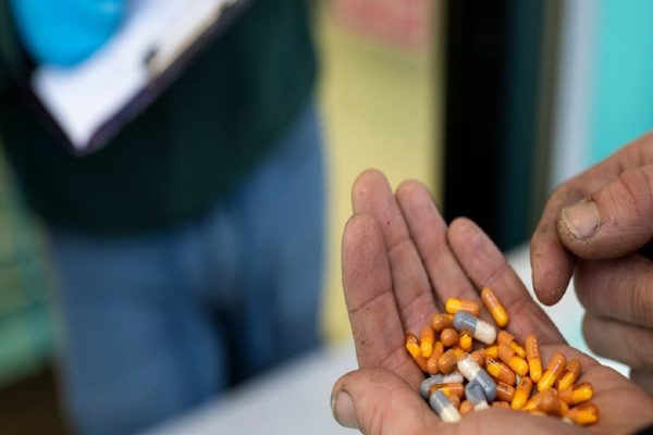 شناسایی یک نوع مسکن حیوانی در مواد مخدر کنترل نشده تورنتو