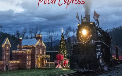 قطار سریع‌السیر قطبی آلبرتا: سفری جادویی در دنیای واقعی