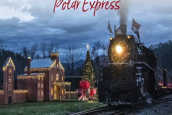 قطار سریع‌السیر قطبی آلبرتا: سفری جادویی در دنیای واقعی