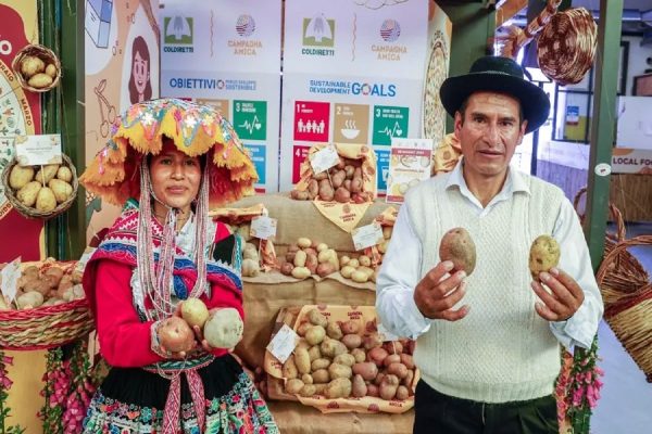 جزیره پرنس ادوارد روز جهانی سیبزمینی را جشن گرفت جزیره پرنس ادوارد روز جهانی سیبزمینی را جشن گرفت