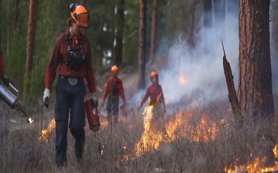 آتش‌سوزی‌های جنگلی در شمال آلبرتا با افزایش گرما و خشکی شدت می‌گیرند