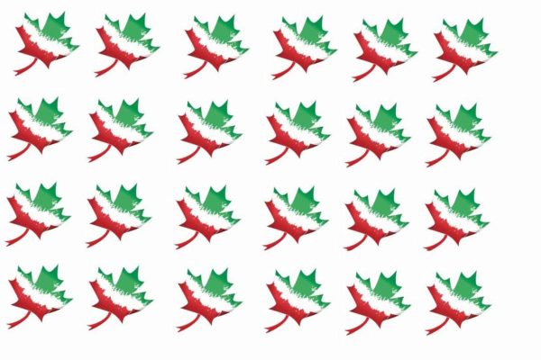 ایرانیان کانادا