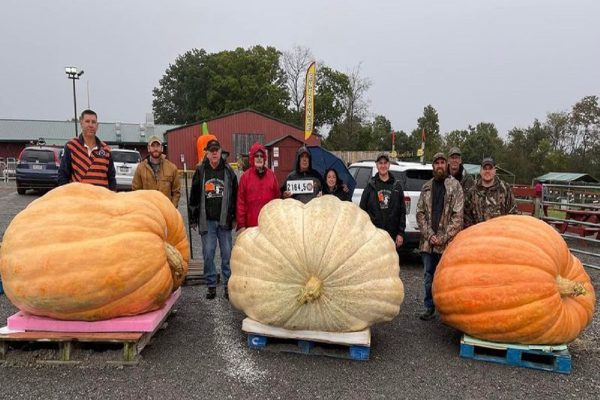 برنده مسابقه کدو تنبل غول پیکر بریتیش کلمبیا معرفی شد
