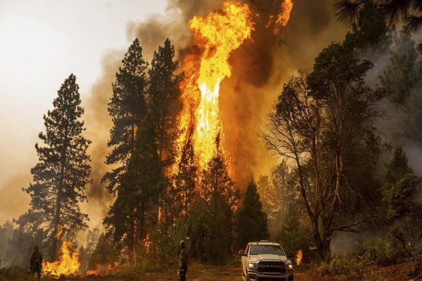 آتش‌سوزی‌ها بلای جان صنعت گردشگری کانادا شده است