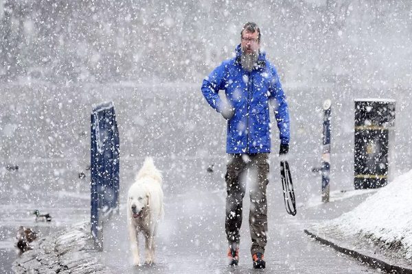هشدار بارش سنگین برف در آلبرتا تا ۳۵ سانتیمتر هشدار بارش سنگین برف در آلبرتا تا ۳۵ سانتیمتر