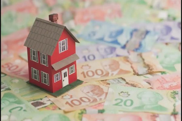 بهشت گران: جوانان کانادایی زندگی جدید خود را از کجا آغاز میکنند؟ بهشت گران: جوانان کانادایی زندگی جدید خود را از کجا آغاز میکنند؟