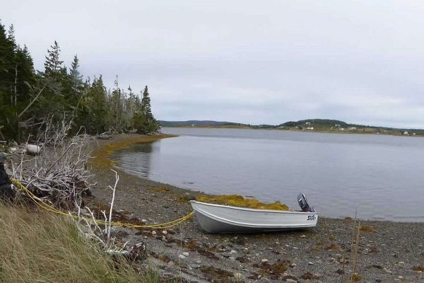 جمع آوری ۲۰ هزار دلار توسط چند دوست برای خرید جزیره‌ در دریاچه لمبز