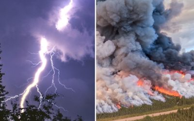 همه چیز درباره‌ی وضعیت فعلی آتش‌سوزی‌ های جنگلی کانادا