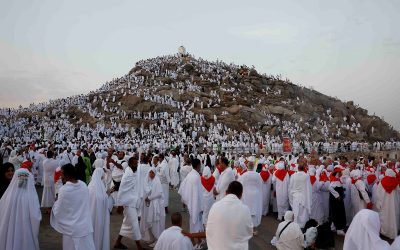 آمار وحشتناک از كشته‌ شدگان مراسم حج