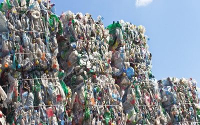 جمع‌آوری حدود ۶۳ هزار قطعه پلاستیک از بندر تورنتو طی ۶ ماه