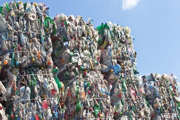 جمع‌آوری حدود ۶۳ هزار قطعه پلاستیک از بندر تورنتو طی ۶ ماه