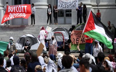 تحصن دانشجویان دانشگاه یورک برای حمایت از فلسطین
