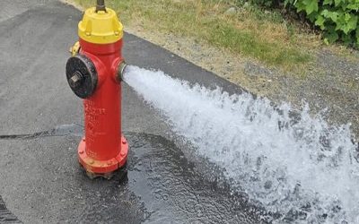 شهردار کبک به دنبال سارقان آب!