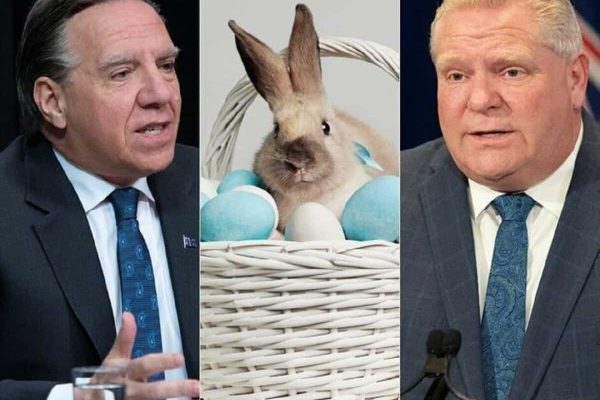 لوگو و فورد: پری دندان به جمع خدمات ضروری کبک افزوده می‌شود