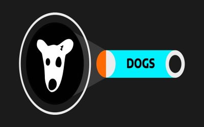 آموزش انتقال DOGS به تون کیپر و فروش آن