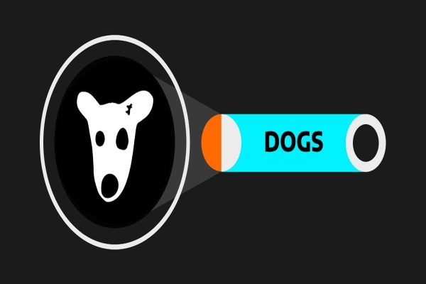 آموزش انتقال DOGS به تون کیپر و فروش آن