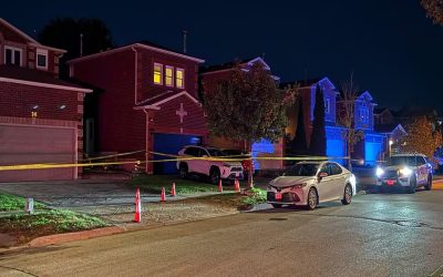 جان باختن امیر شفیعی در ریچموند هیل