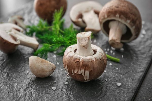 خواص جادویی قارچ سفید دکمه‌ای برای نابودی توده سرطان