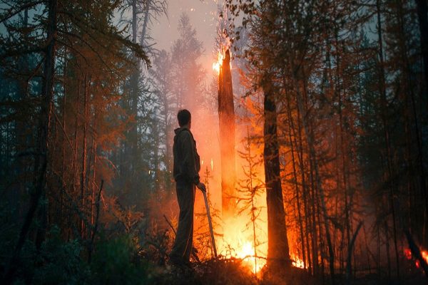 نخست‌وزیر بریتیش کلمبیا از متا خواستار امکان اشتراک‌گذاری اخبار آتش‌سوزی‌ها شد