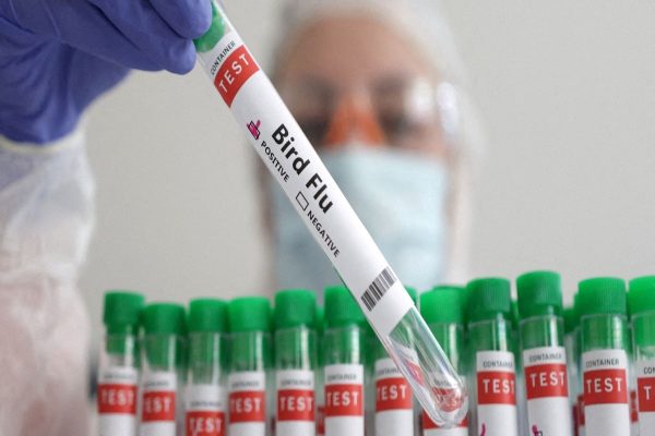 واكسيناسيون آنفولانزای مرغی برای اولين بار در جهان توسط فنلاند