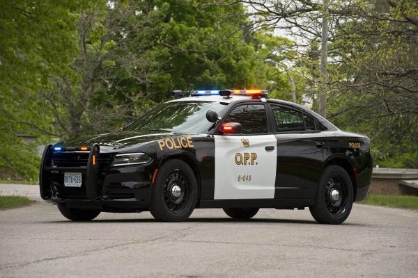 صدور ۹۷ برگه جریمه برای رالی غیرقانونی خودرویی در واساگا