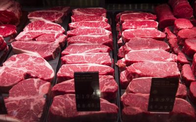 صادرات گوشت گاو و خوک کانادا