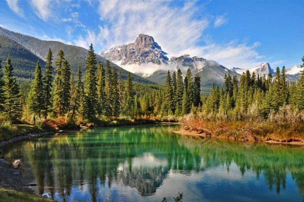 Boreal-forest
