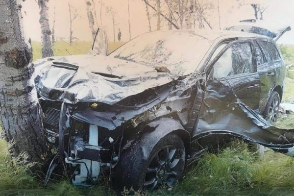 نوجوان آلبرتایی