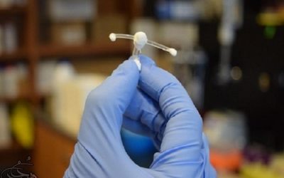 ایتالیایی‌ها موفق به تولید واکسنی برای مقابله با ویروس اچ‌آی‌وی شدند