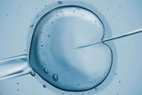 لقاح مصنوعی