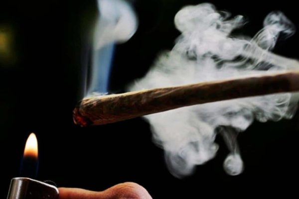 بر اساس آمارهای رسمی، قانونی شدن ماری‌جوانا، مصرف آنرا افزایش نداده است / بیشتر مصرف کنندگان خرید غیرقانونی دارند