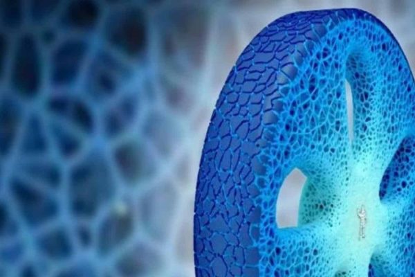 میشلن در کنفرانس مونترال