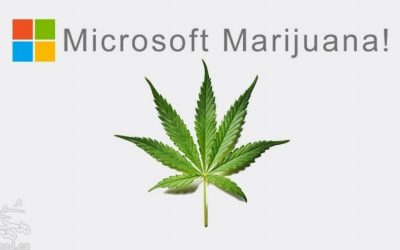 Microsoft-Marijuana