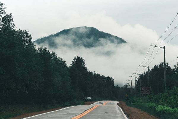 مقدمات رفتن به یک سفر جنگلی را چگونه فراهم کنیم؟ مقدمات رفتن به یک سفر جنگلی را چگونه فراهم کنیم؟