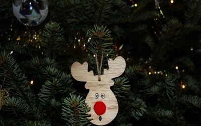 امسال کانادا با کمبود درخت کریسمس مواجه می‌شود