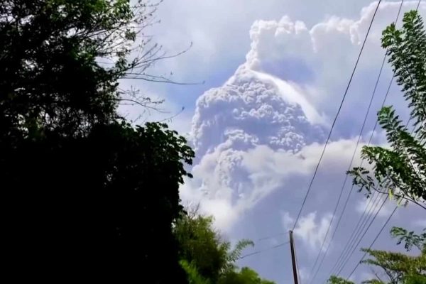 اخبار کوتاه جهان