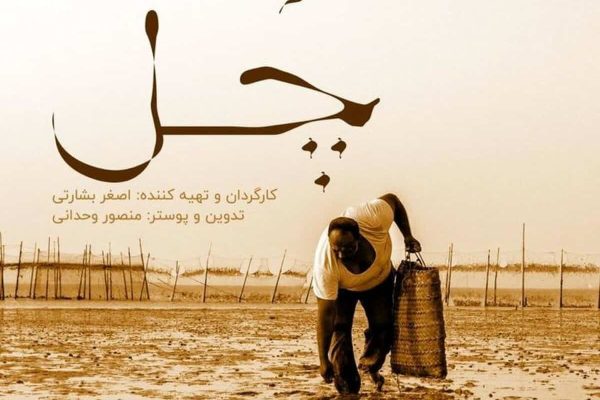 جشنواره محیط زیست کانادا