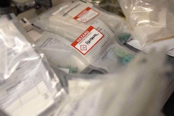 پلیس تورنتو - باند مواد مخدر تورنتویی