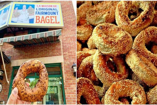 بیگل در مونترال