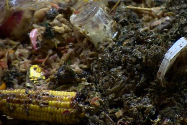 هدر رفتن مواد غذایی