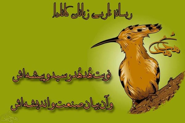 رسانه هدهد