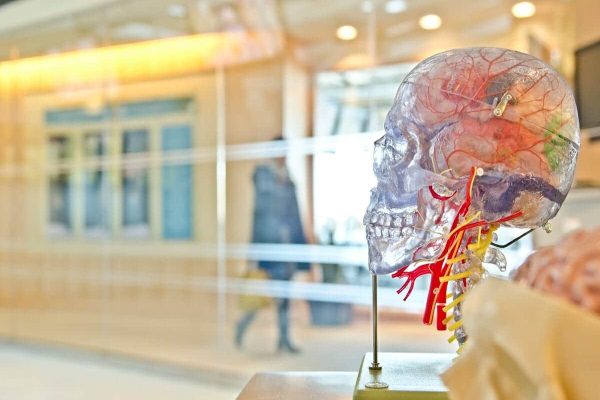 چگونه بخوریم تا در معرض ابتلا به آلزایمر قرار نگیریم؟