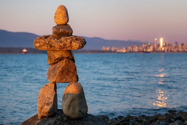 هیئت مدیره پارک‌های ونکوور به ممنوعیت تغذیه حیوانات وحشی رای مثبت داد