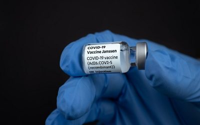 بازگشت کبک به حالت عادی با زدن دوز سوم واکسن کرونا برای افراد 50 ساله و بالاتر