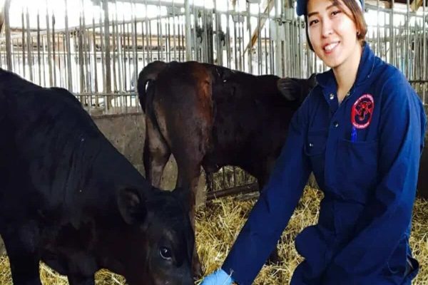 نسرین حسینی نسرین حسینی پناهنده افغان،اکنون در لیست صد زن تاثیرگذار بیبیسی