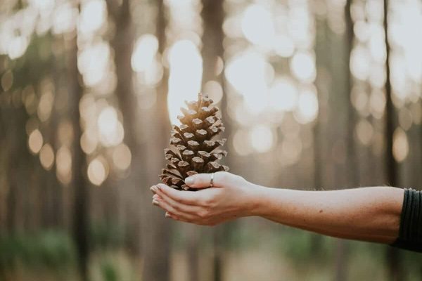 طبیعت و کمک به سلامت روان